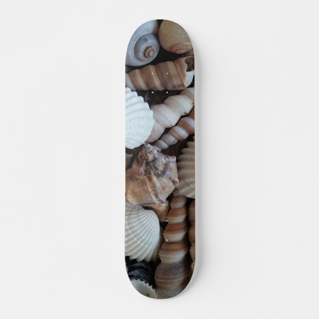 Sea Shells Summer Beach Exotic Tropical Skateboard (Frente)