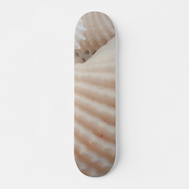 Sea Shells Summer Beach Exotic Tropical Skateboard (Frente)