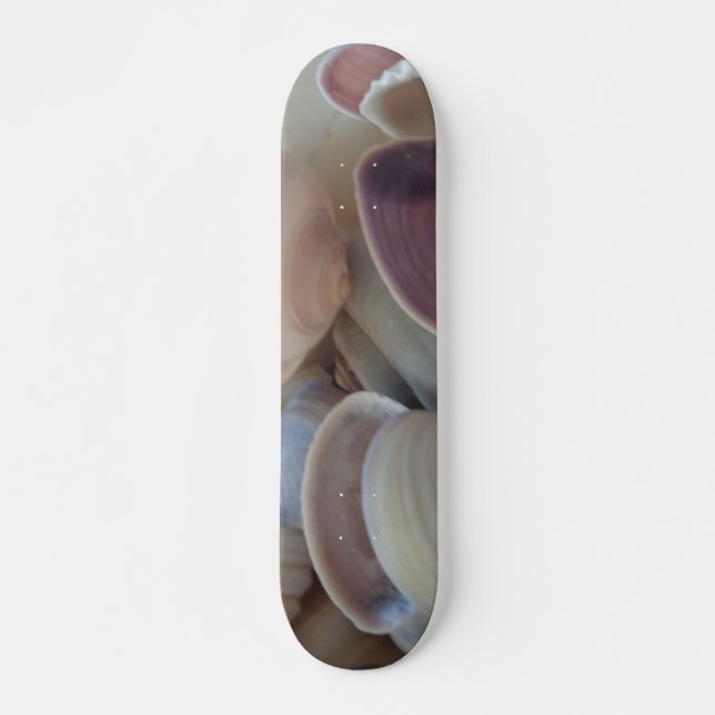 Sea Shells Summer Beach Exotic Tropical Skateboard (Frente)