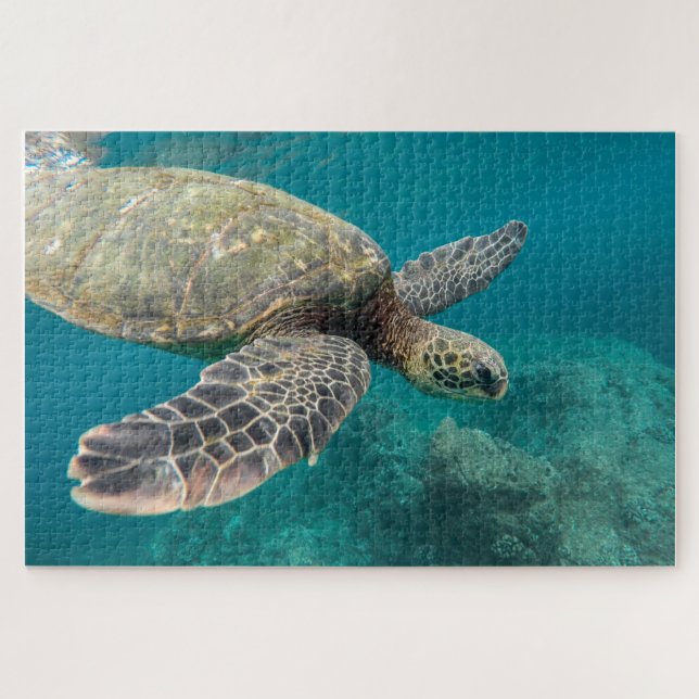 Sea Turtle - Quebra-cabeça (Horizontal)