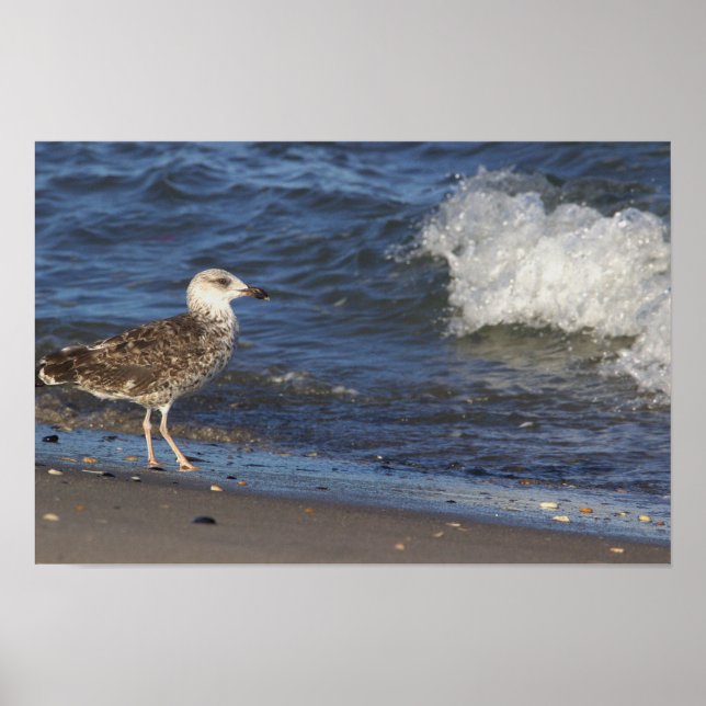 Seagull em Beach com Poster de Wave (Frente)