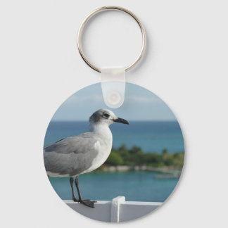 Seagull Em Paradise Chaveiro