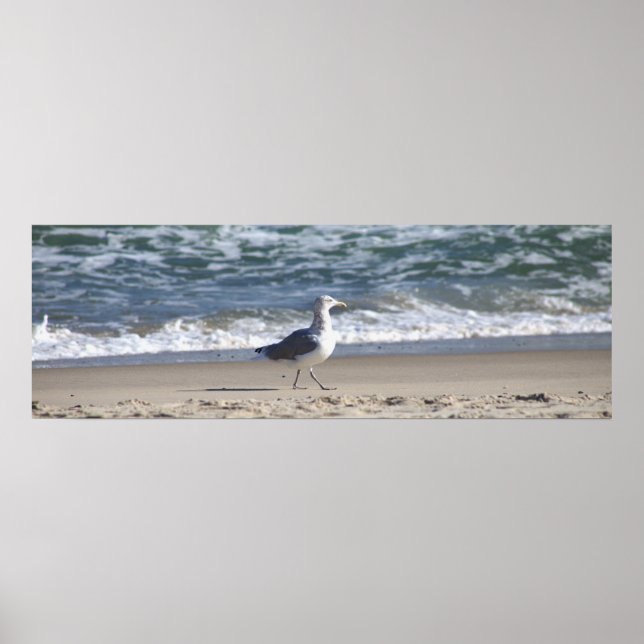 Seagull na Poster da praia (Frente)
