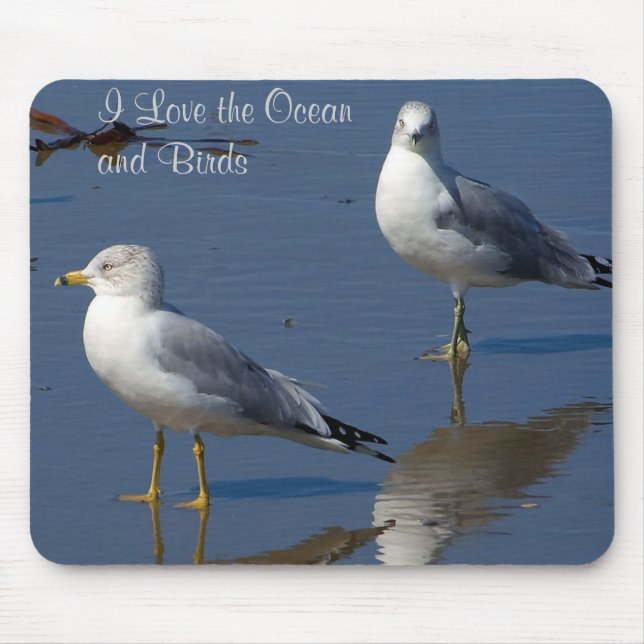 Seagulls Mousepad (Frente)