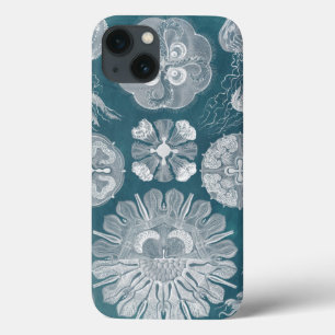 Sealife Blueprint IV
