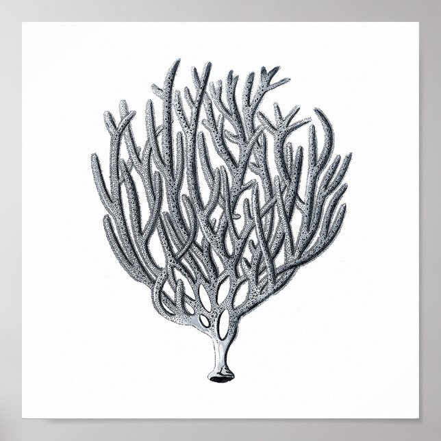 Sealife Group12A Impressão 1 (Frente)