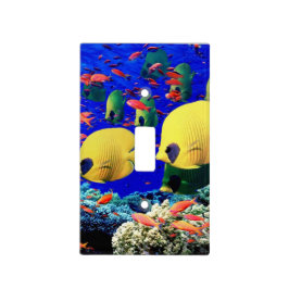 Sealife, Ocean, Beach Light Switch Plate Cobrir