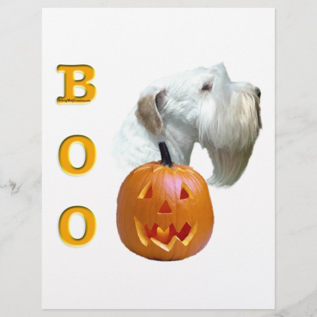 Sealyham Terrier Boo (Frente)