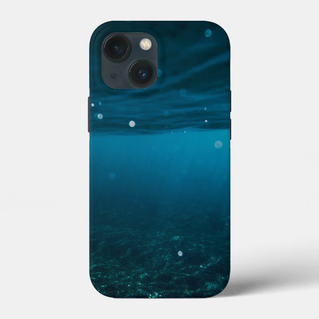  Seascape with Beach, Great Wave & Mount Sea Case (Verso)