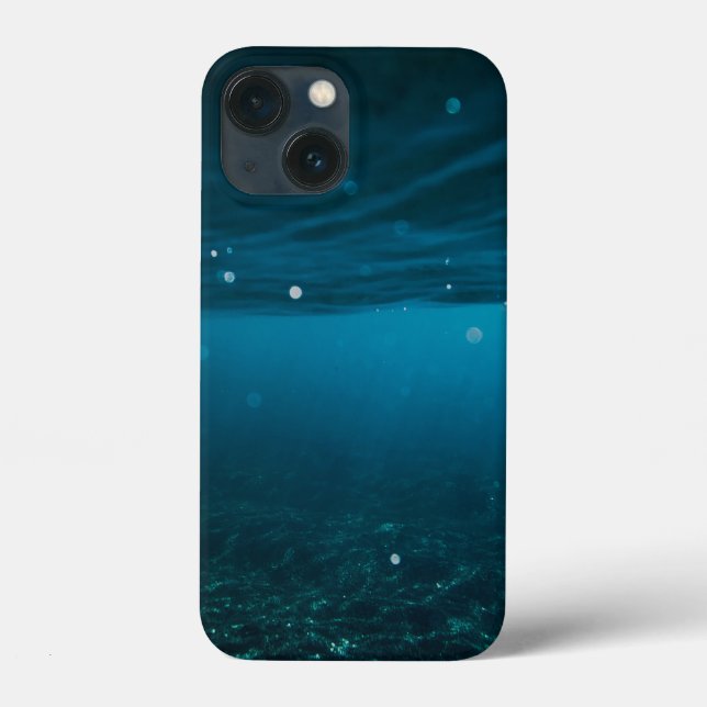  Seascape with Beach, Great Wave & Mount Sea Case (Verso)