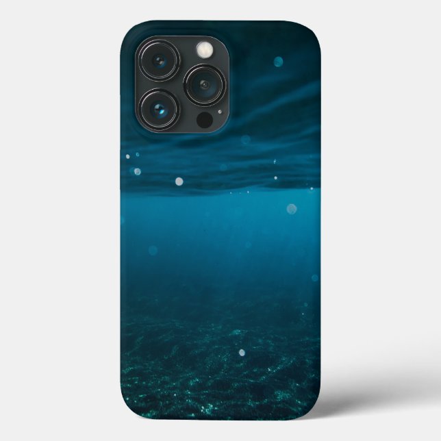  Seascape with Beach, Great Wave & Mount Sea Case (Verso)