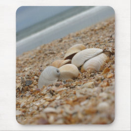 Seashells no disconto de quantidade do mousepad da