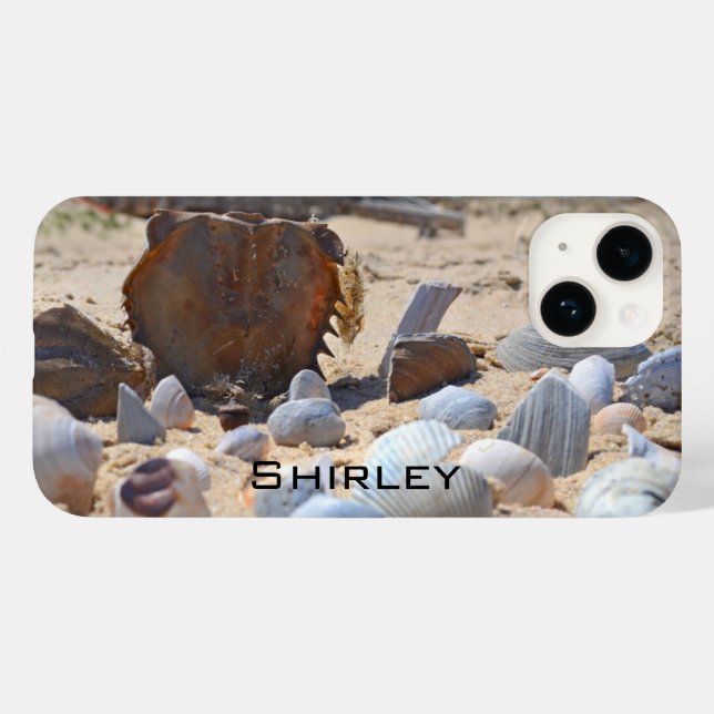 Seashells On Beach por Shirley Taylor (Verso (horizontal))