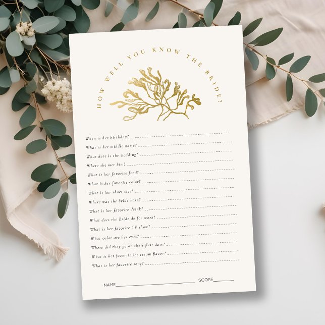 Seaweed Sabe Muito Bem O Jogo De Chá de panela De  (Criador carregado)