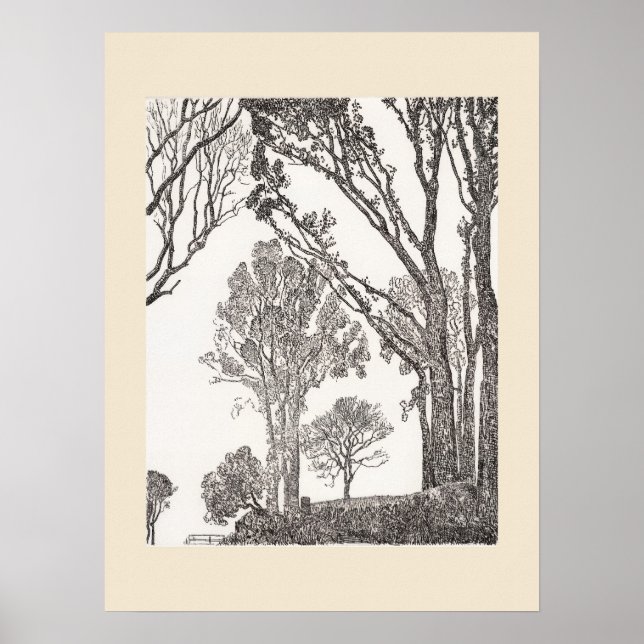 Sebes da Cornualha Eleanor Hughes ReStrike Poster (Frente)