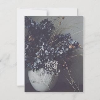 Secado flores de hortênsia, Schönheit. tenro