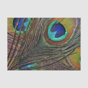 Seda 10lb lenço de papel feito sob encomenda, PENA do