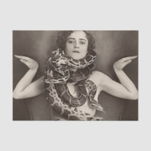 Seda 1920 de vindima com papel de tecido Cobra