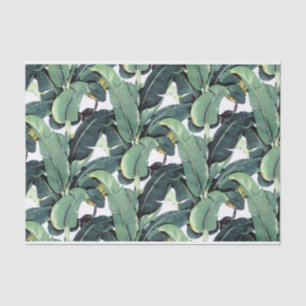Seda A banana sae palma do lenço de papel 10lb tropica