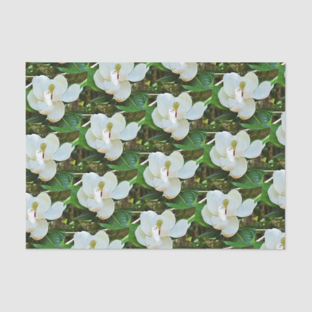 Seda A magnólia floresce lenço de papel (Frente )
