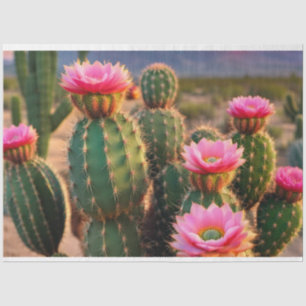 Seda Arizona de papel de dissociação de cactus rosa e v
