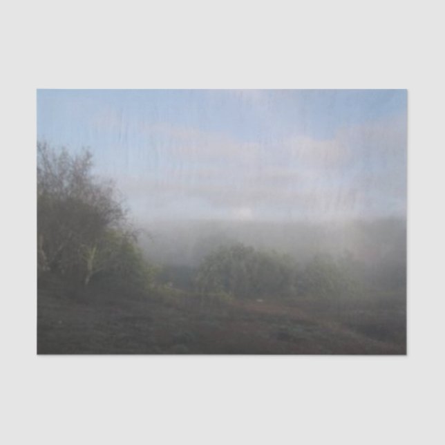 SEDA ARTE E DESIGN DE PAPEL DO PRESENTE (Frente )