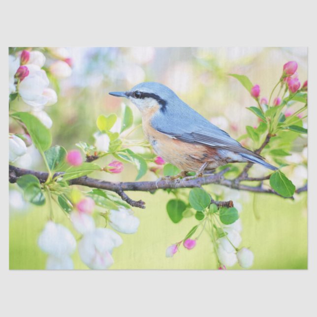 Seda ave em papel de tecido primavera (Frente )