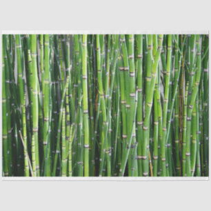 Seda Bambu Decoupage 24 Papel Tecido de Fundo
