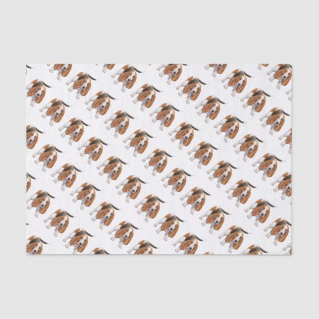 Seda Basset Hound com lenço de papel do bastão de doces (Frente )