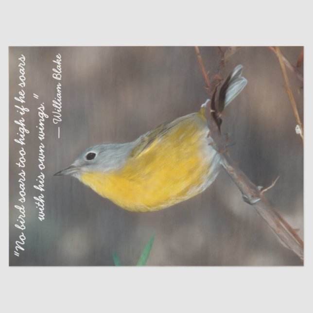 Seda Belo Papel Tecido de Pássaro (Frente )