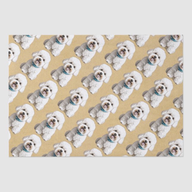 Seda Bichon Bonito em Fundo de Papel Dapitado (Frente )