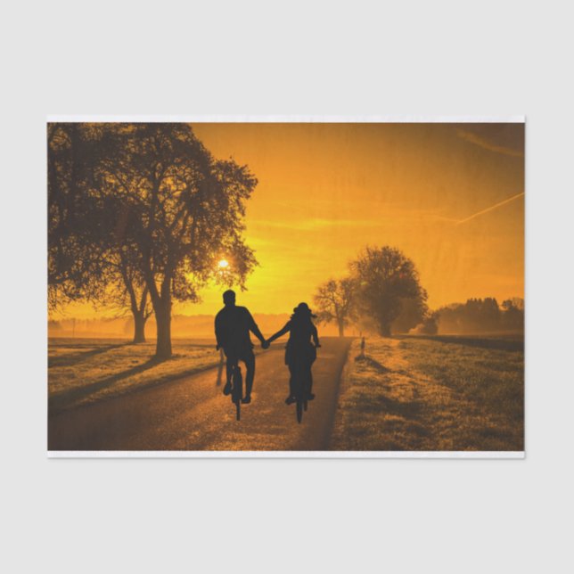 Seda Bicicleta No Papel Tecido De Decúpula (Frente )