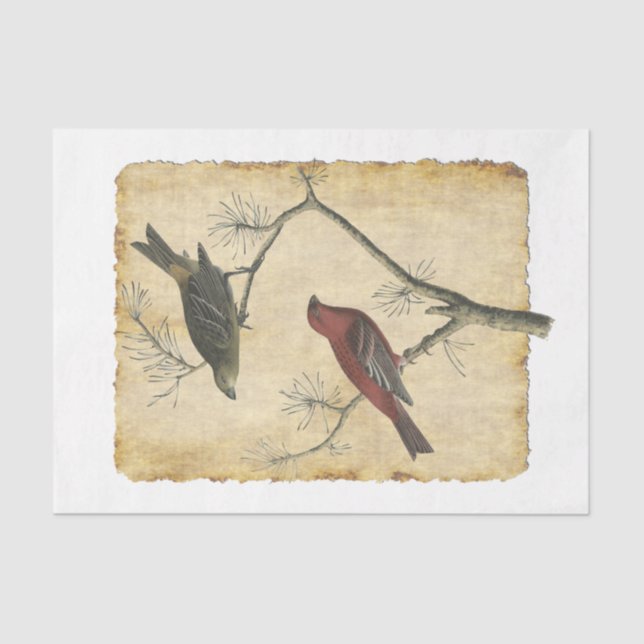 Seda Bird 34 Papel Tecido de Decoupage (Frente )