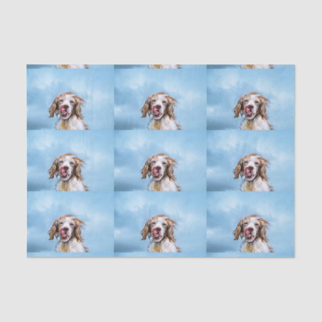 Seda Brittany com lenço de papel da atitude (Frente )