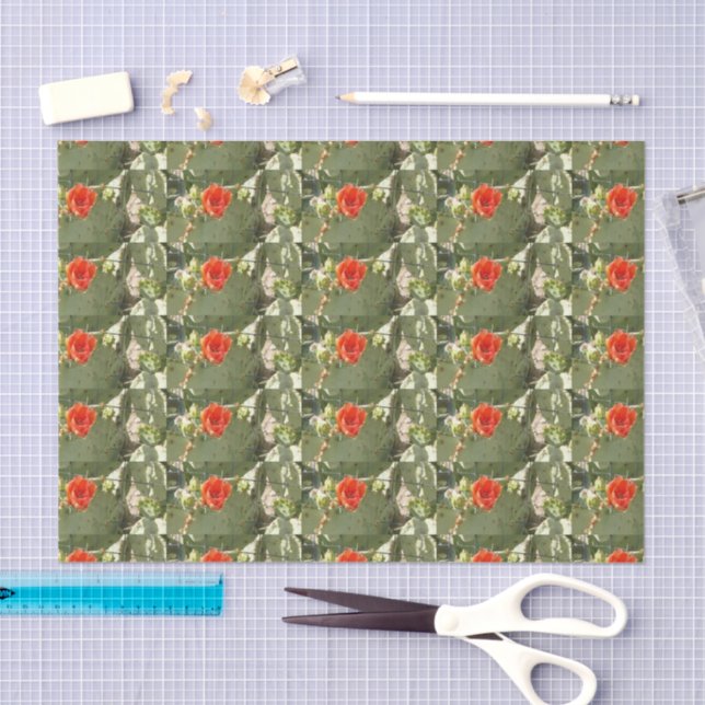 Seda Cactus Tough e Belos lenços de papel (Arte )