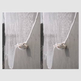 Seda Captura de Papel de Tecido Fotográfico Westie