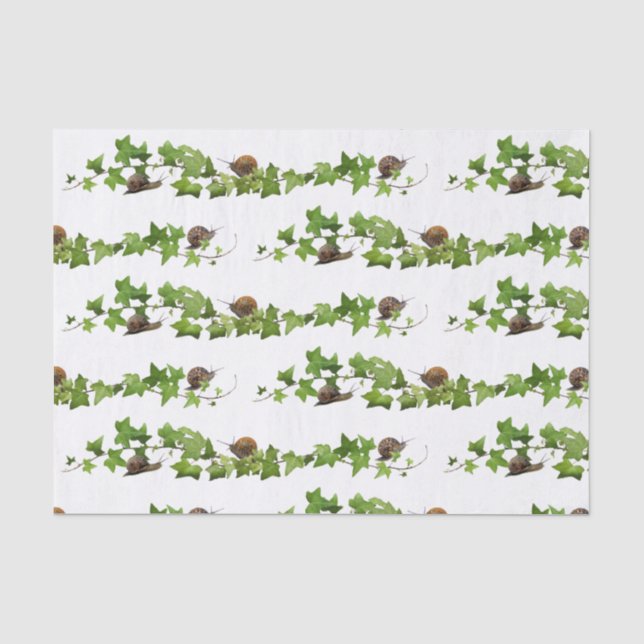 Seda Caracóis em Papel Tecido de Ivy (Frente )