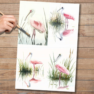 Seda Colagem de Spoonbill 2 Papel de Decoupage