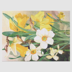 Seda Daffodils amarelos e lenço de papel branco 17x23