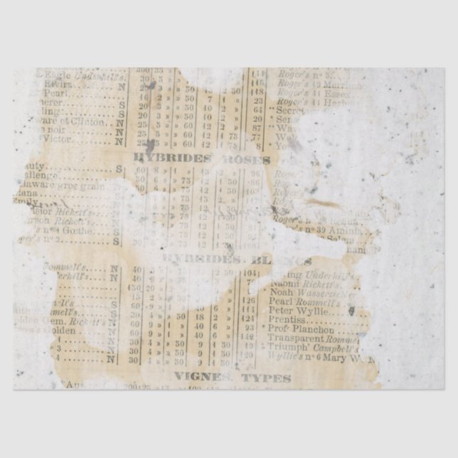 Seda Ephemera - Série de Papel Distinto - Design 3 (Frente )