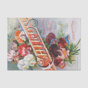 Seda Ervilhas doces de 1895, Impressão de papel tecidul