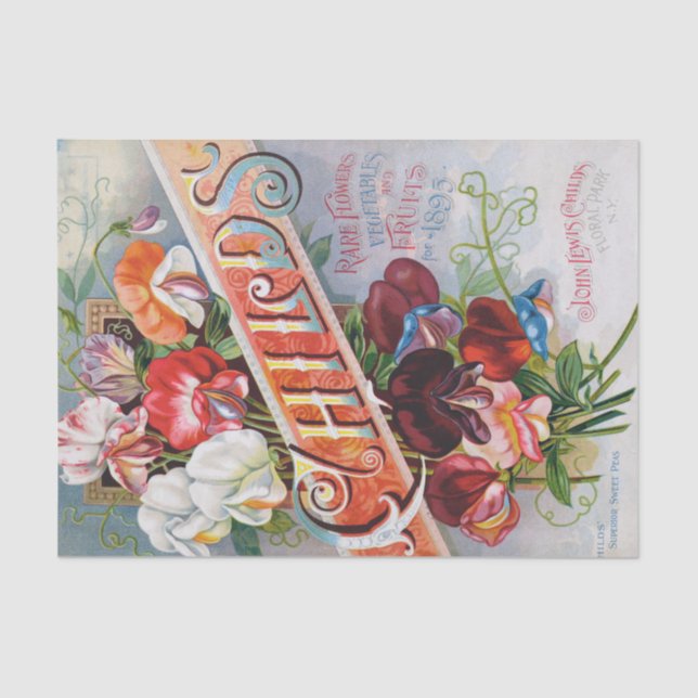 Seda Ervilhas doces de 1895, Impressão de papel tecidul (Frente )