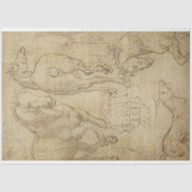 Seda Estudo de um Papel de Decoupage de Cavalo (Frente )