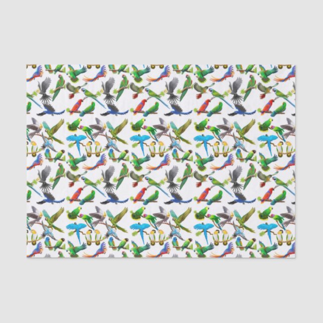 Seda Eu amo o lenço de papel dos papagaios (Frente )