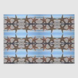 Seda Fécula de Açúcar no Papel Tecido da Praia