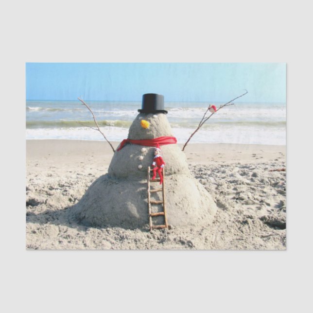 Seda Flórida Snowman - Escultura de areia - Papel Tecid (Frente )