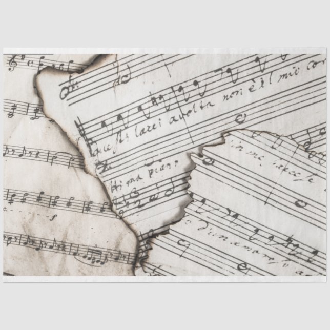 Seda folha de notas de música papel (Frente )