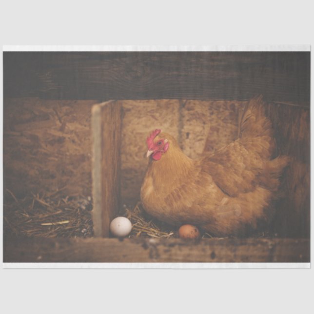 Seda Galinha Galinha Fazenda Papel Tecido de Decodifica (Frente )