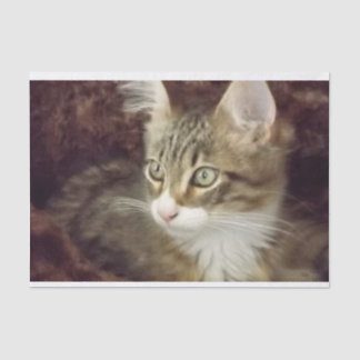 Seda Gato de Mobiliário de Artesanato de Papel para Dec