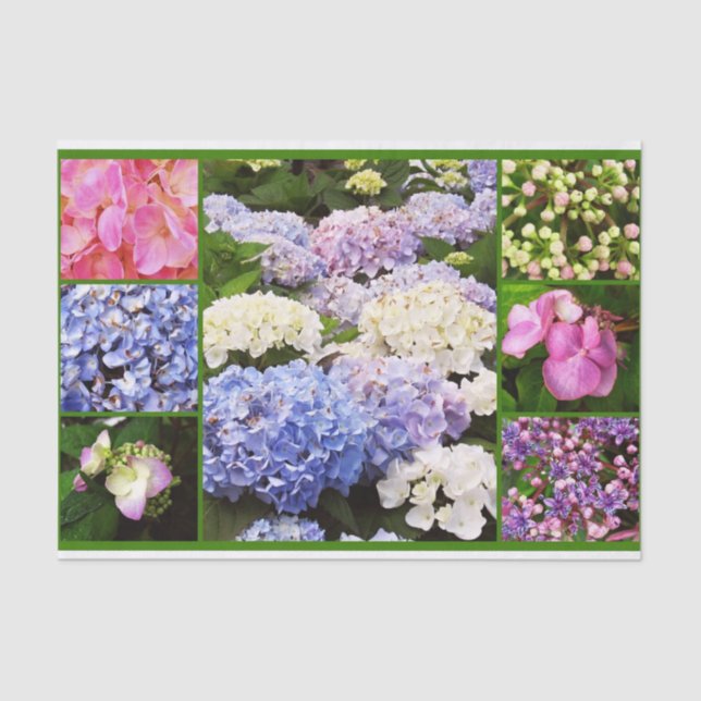 Seda Hydrangea Flowers PAPEL DE EMBALAGEM DE TECIDOS DE (Frente )